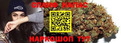 шишки Кинель