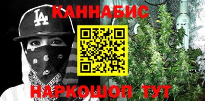 шишки Кинель