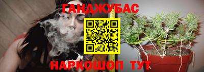 прущая мука Кингисепп
